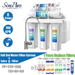 100 GPD 6 Stage PH Alkaline RO Reverse Osmosis Water Filter System + 9 Filters