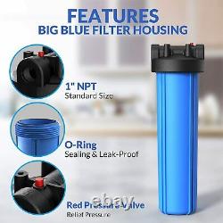 2 Stage Big Blue Whole House Filter System 1 Port 20 x 4.5 Carbon + String