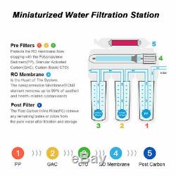 5 Stage Reverse Osmosis System Drinking Water Filtration Alkaline 100 Gal Home