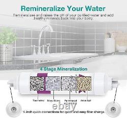 6 Stage 100 GPD Alkaline Reverse Osmosis Under Sink Water Filter System Purifier