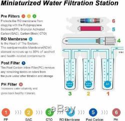 6 Stage Reverse Osmosis System Drinking Water Filter Alkaline Mineral pH 100 GPD