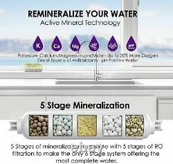 6-Stage Under Sink Reverse Osmosis Drinking Water Filter System Alkaline pH 100G