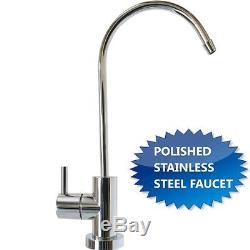 Reverse Osmosis High Alkalinity Ionizer Neg ORP System Clear Polished SS Faucet