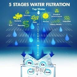 To PR T2 5 Stage Reverse Osmosis Drinking Water Filter System 100GPD RO Purifier