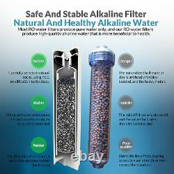 6 Étape 100gpd Alcaline Osmose Inverse Ro Filtre D'eau Potable Purificateur Système